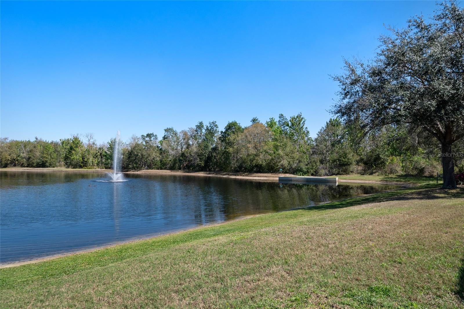 2732 ALOMA OAKS DR, OVIEDO, FL, 32765