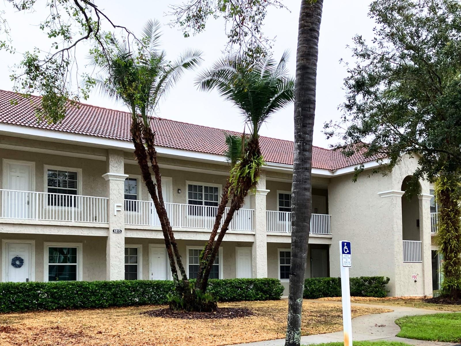 6815 DALI AVE #F101, LAND O LAKES, FL, 34637