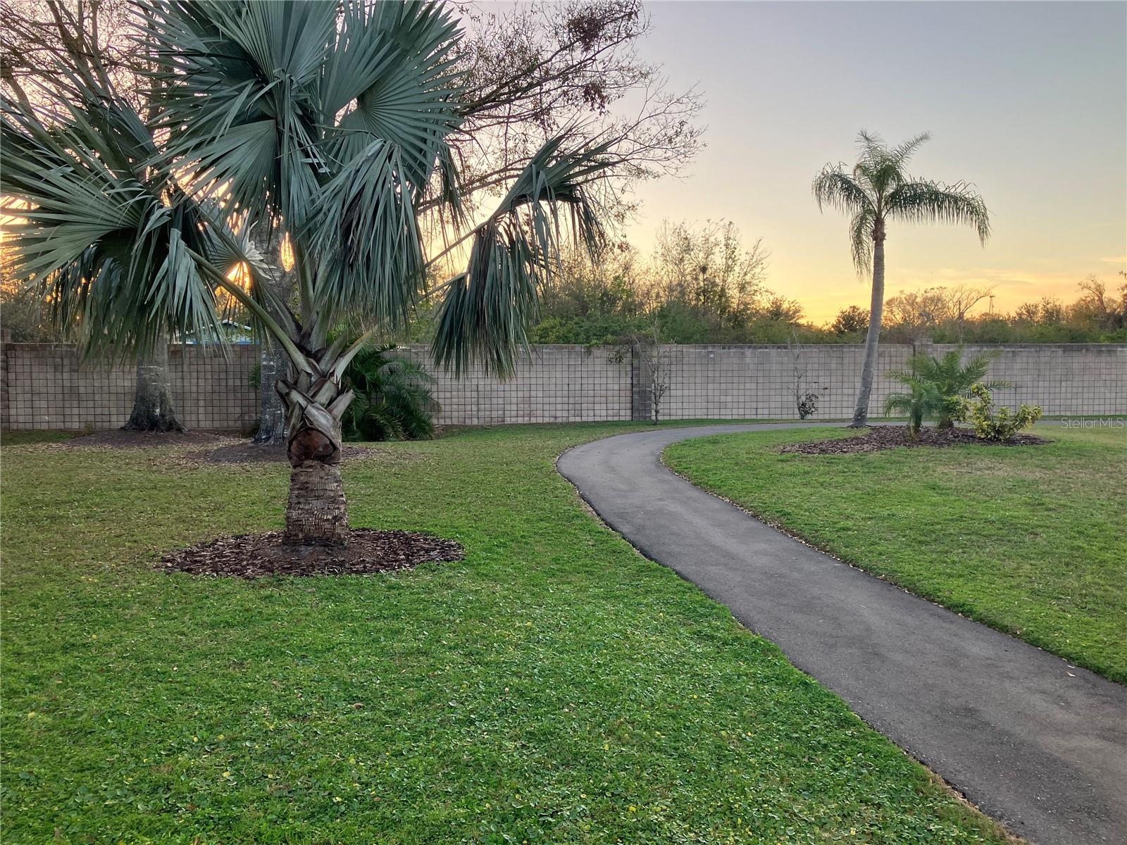 6815 DALI AVE #F101, LAND O LAKES, FL, 34637