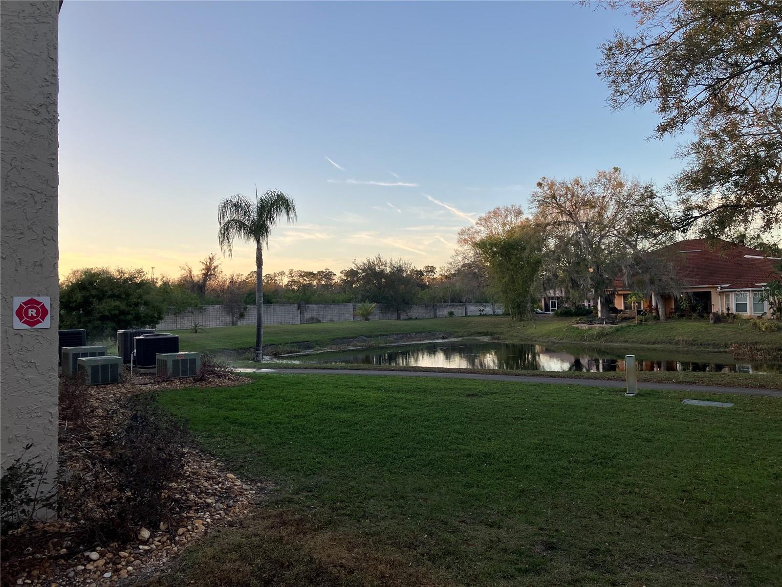 6815 DALI AVE #F101, LAND O LAKES, FL, 34637