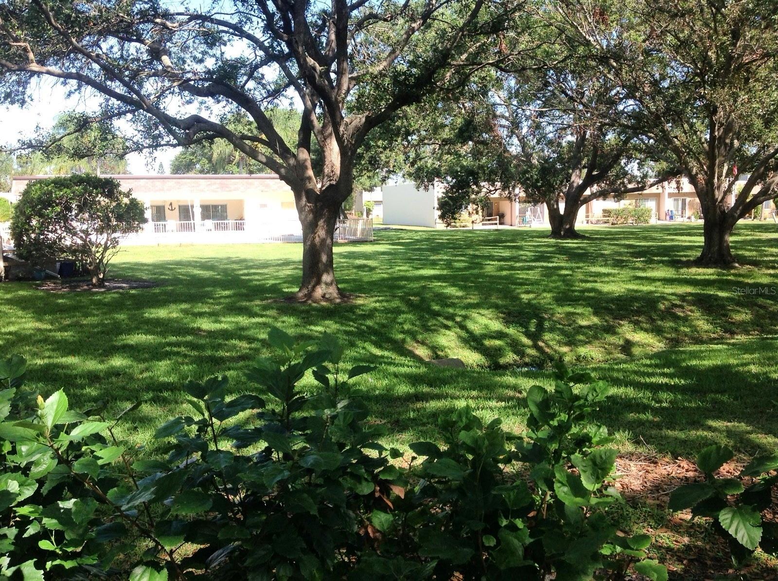 11511 113TH ST #36B, LARGO, FL, 33778