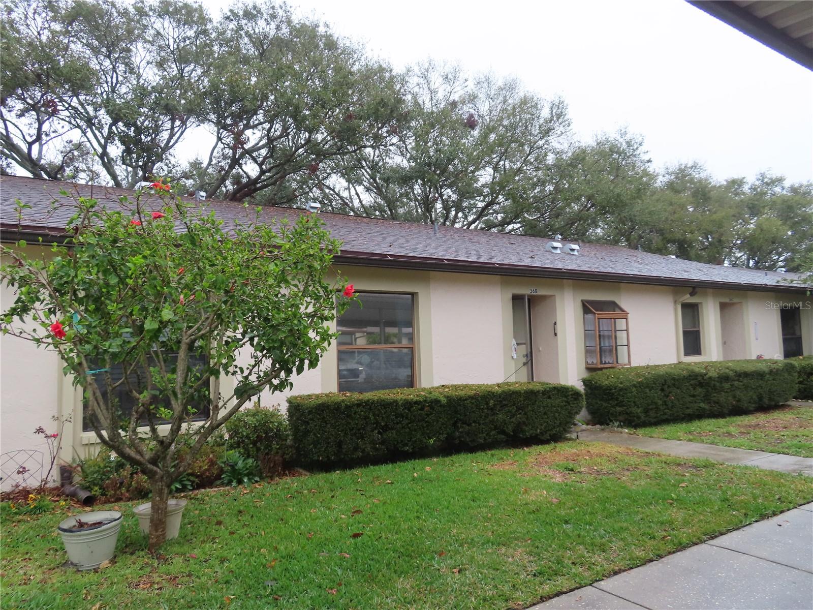 11511 113TH ST #36B, LARGO, FL, 33778