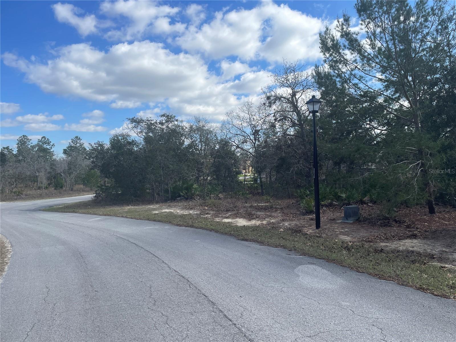 25 FREESIA CT, HOMOSASSA, FL, 34446