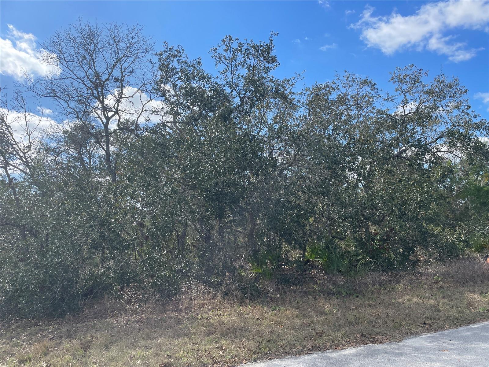 25 FREESIA CT, HOMOSASSA, FL, 34446