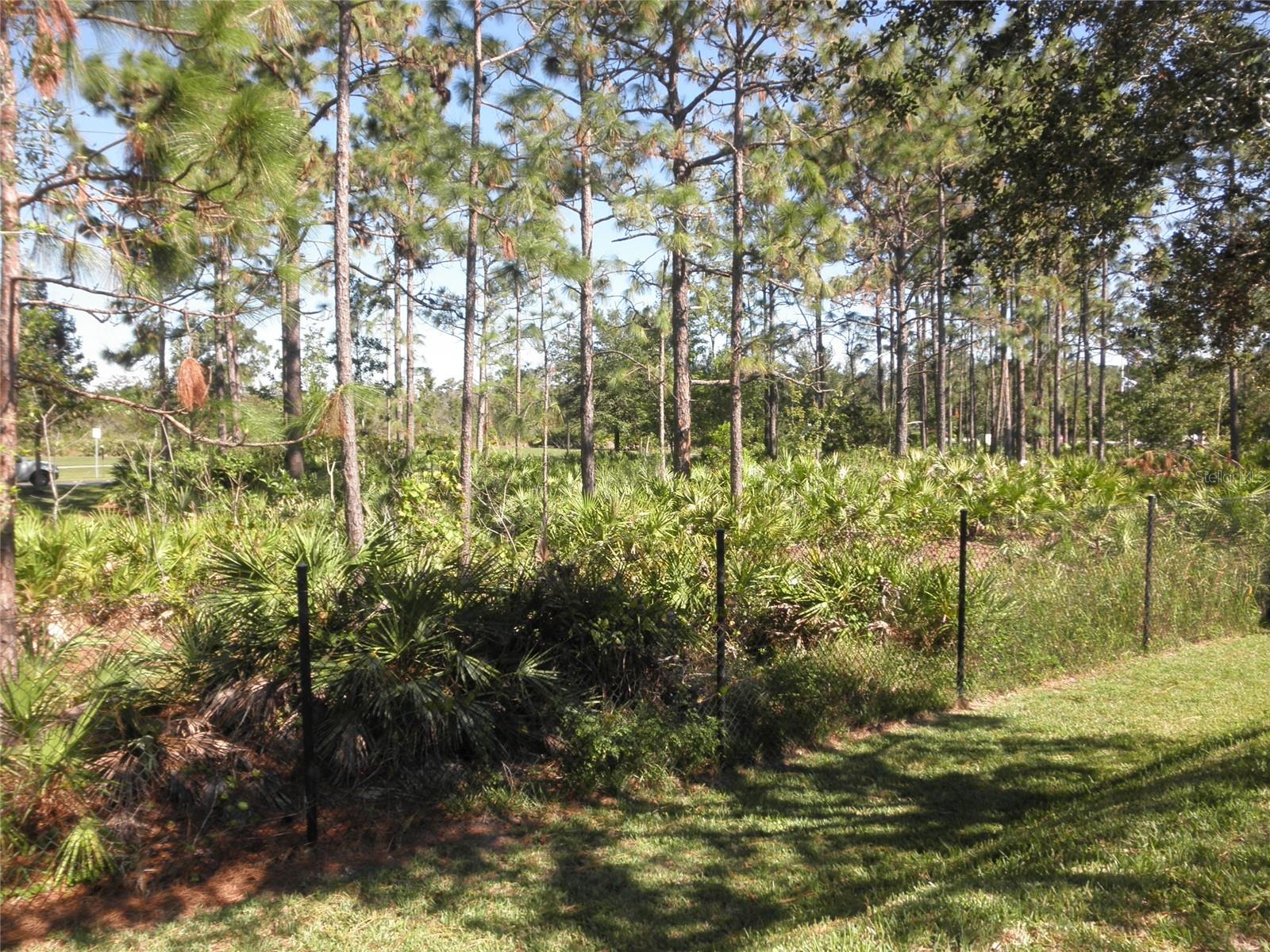9301 VENEZIA PLANTATION DR, ORLANDO, FL, 32829