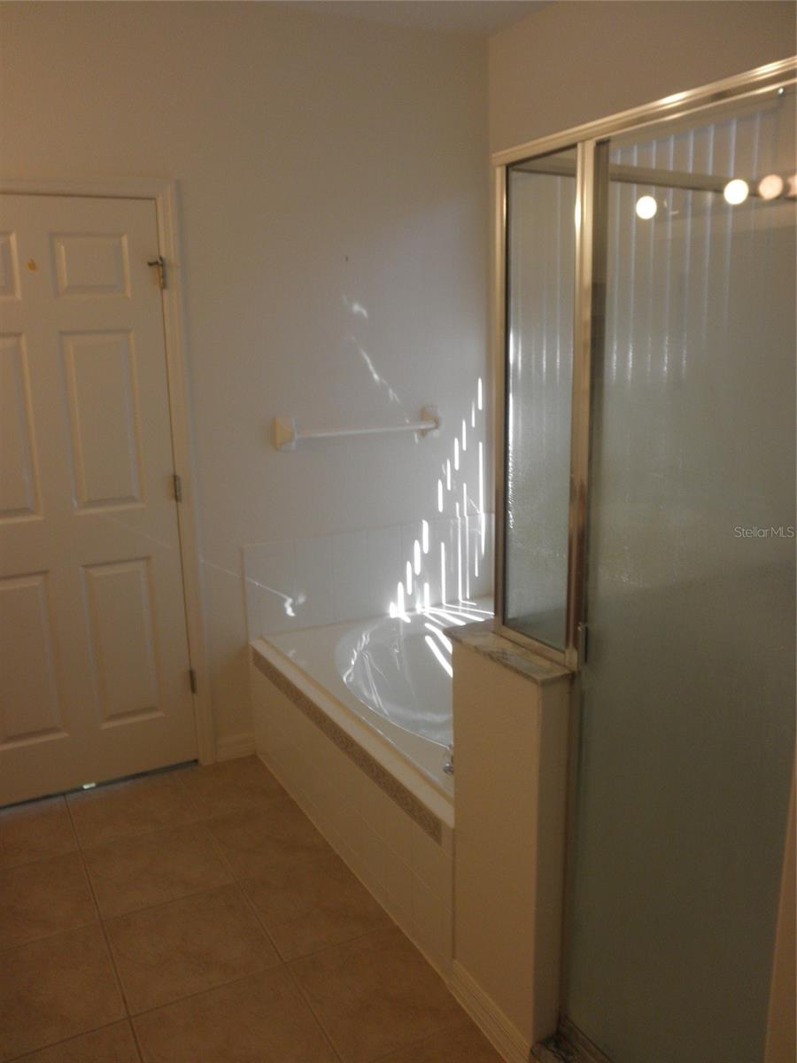 9301 VENEZIA PLANTATION DR, ORLANDO, FL, 32829