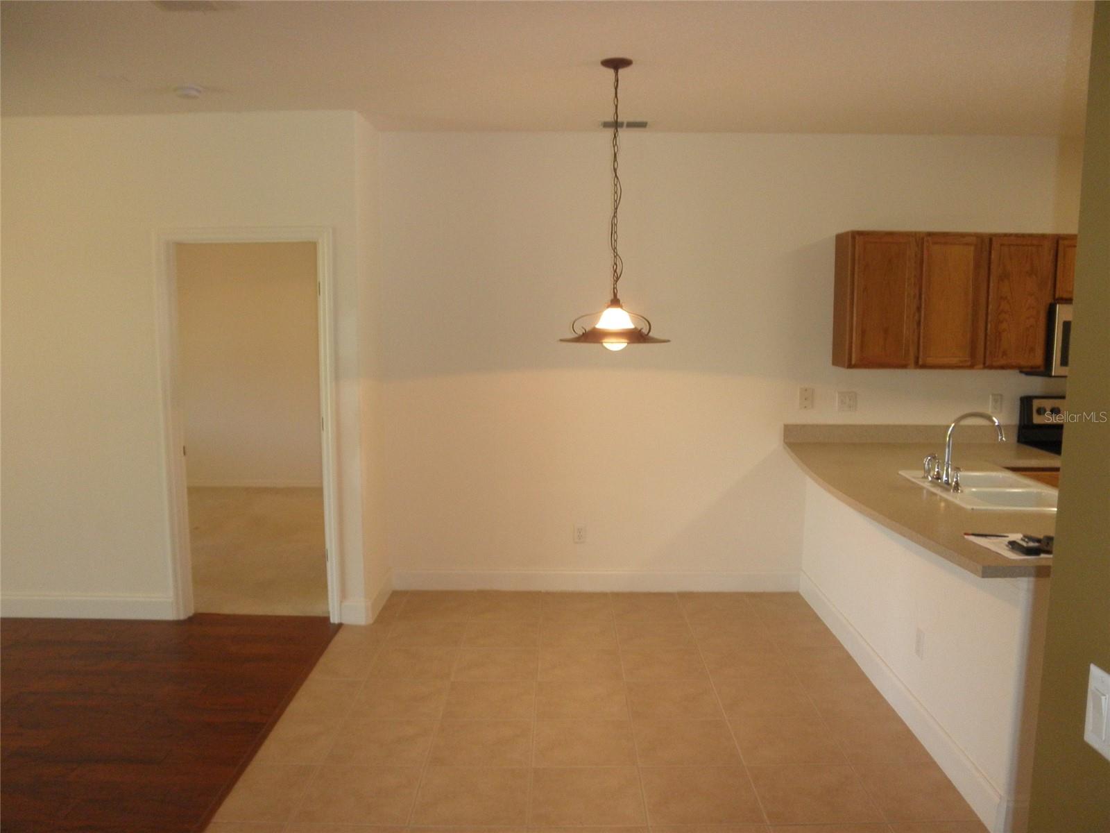 9301 VENEZIA PLANTATION DR, ORLANDO, FL, 32829