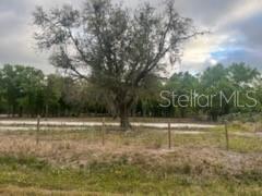 17978 NW 282ND ST, OKEECHOBEE, FL, 34972