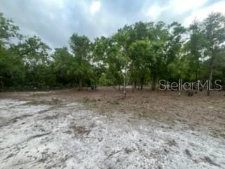 17978 NW 282ND ST, OKEECHOBEE, FL, 34972