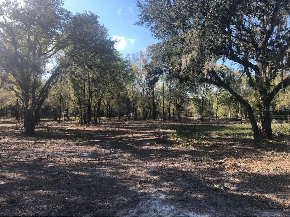 17978 NW 282ND ST, OKEECHOBEE, FL, 34972