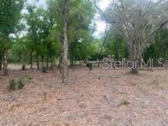 17978 NW 282ND ST, OKEECHOBEE, FL, 34972