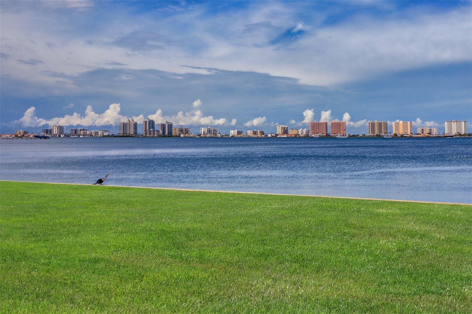 50 COE RD #223, BELLEAIR, FL, 33756