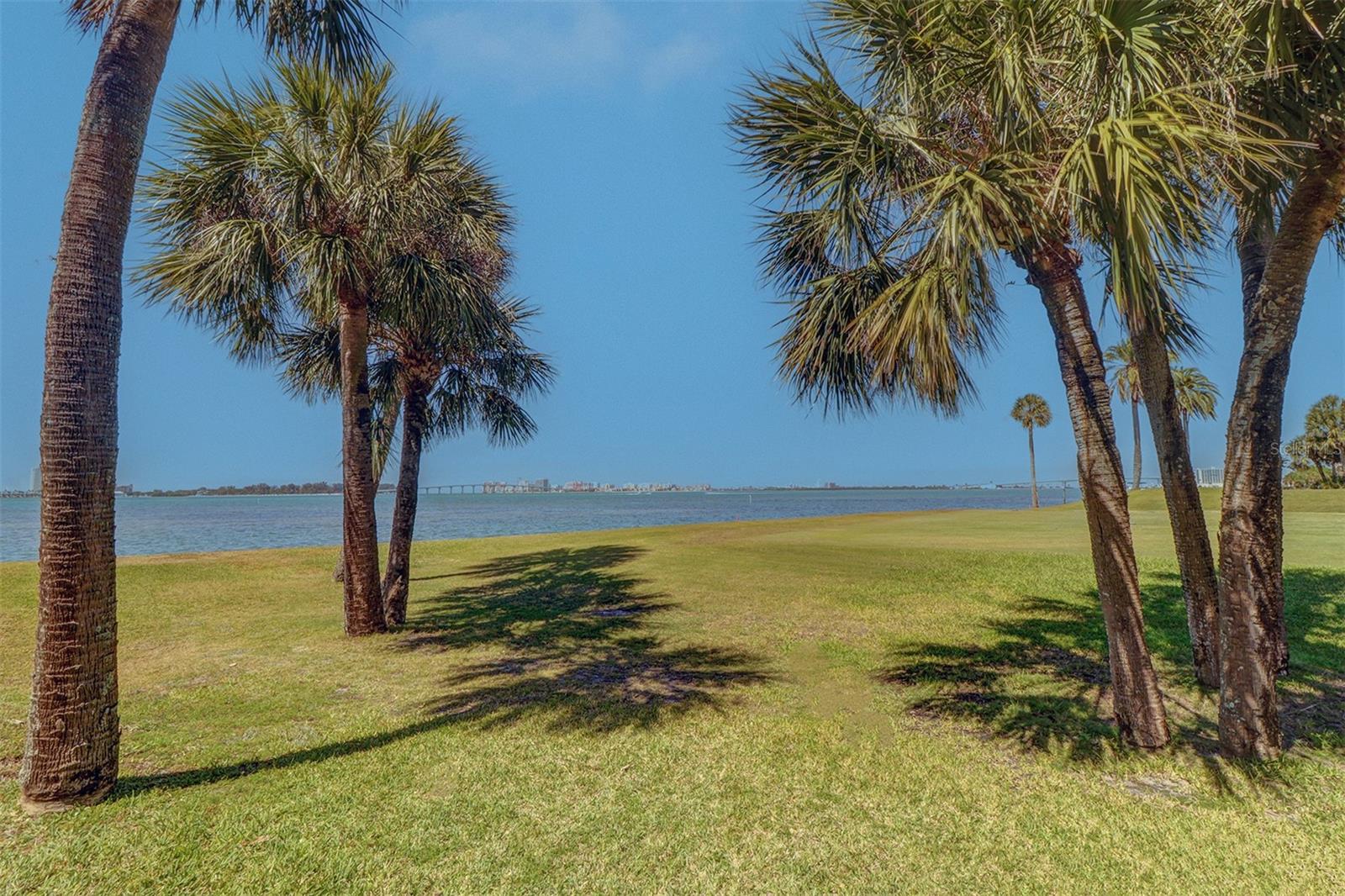 50 COE RD #223, BELLEAIR, FL, 33756