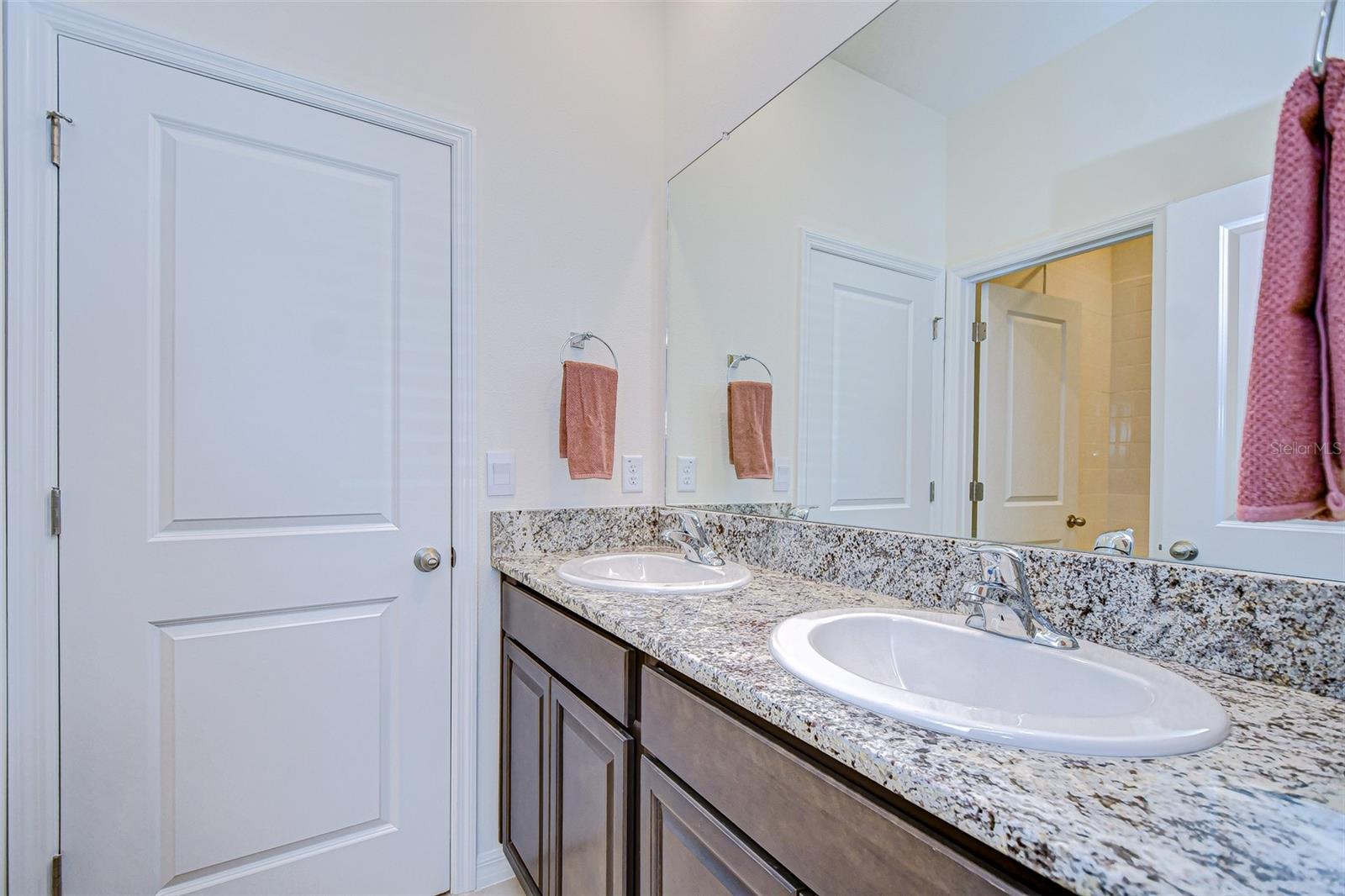 3521 GOLDEN WHEAT LN, PLANT CITY, FL, 33565