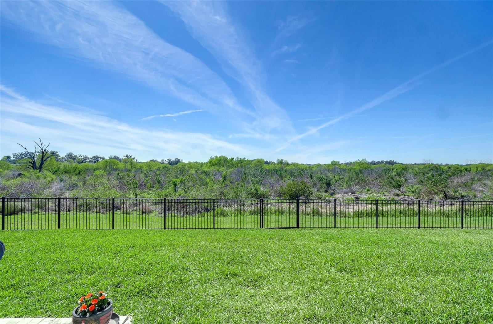 3521 GOLDEN WHEAT LN, PLANT CITY, FL, 33565