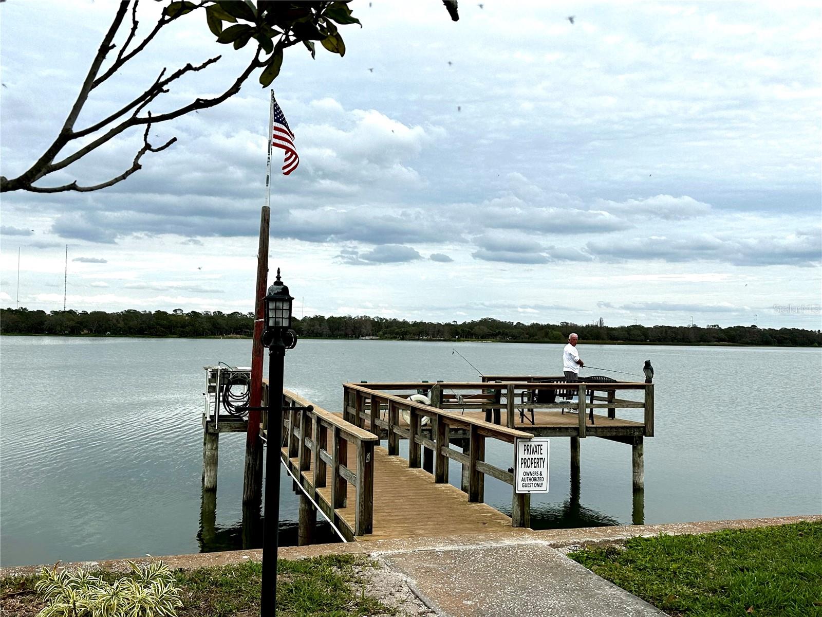 406 DENICE DR #406, SEMINOLE, FL, 33772