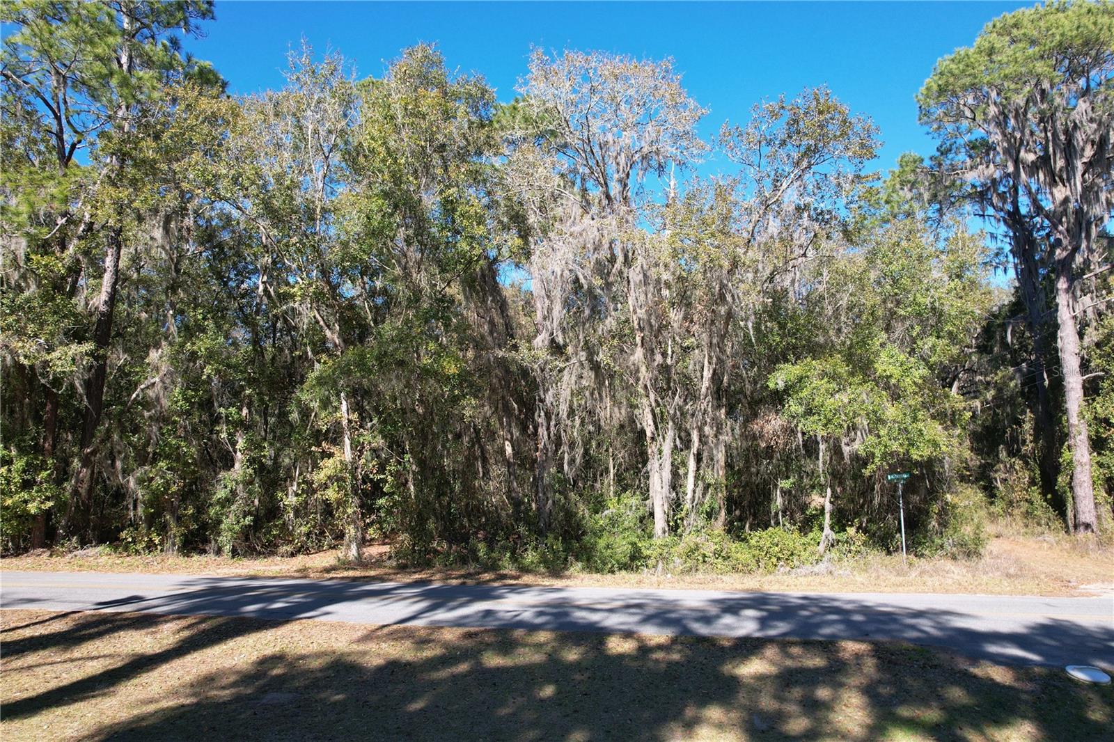 00 HILLCREST DR, FLORAHOME, FL, 32140