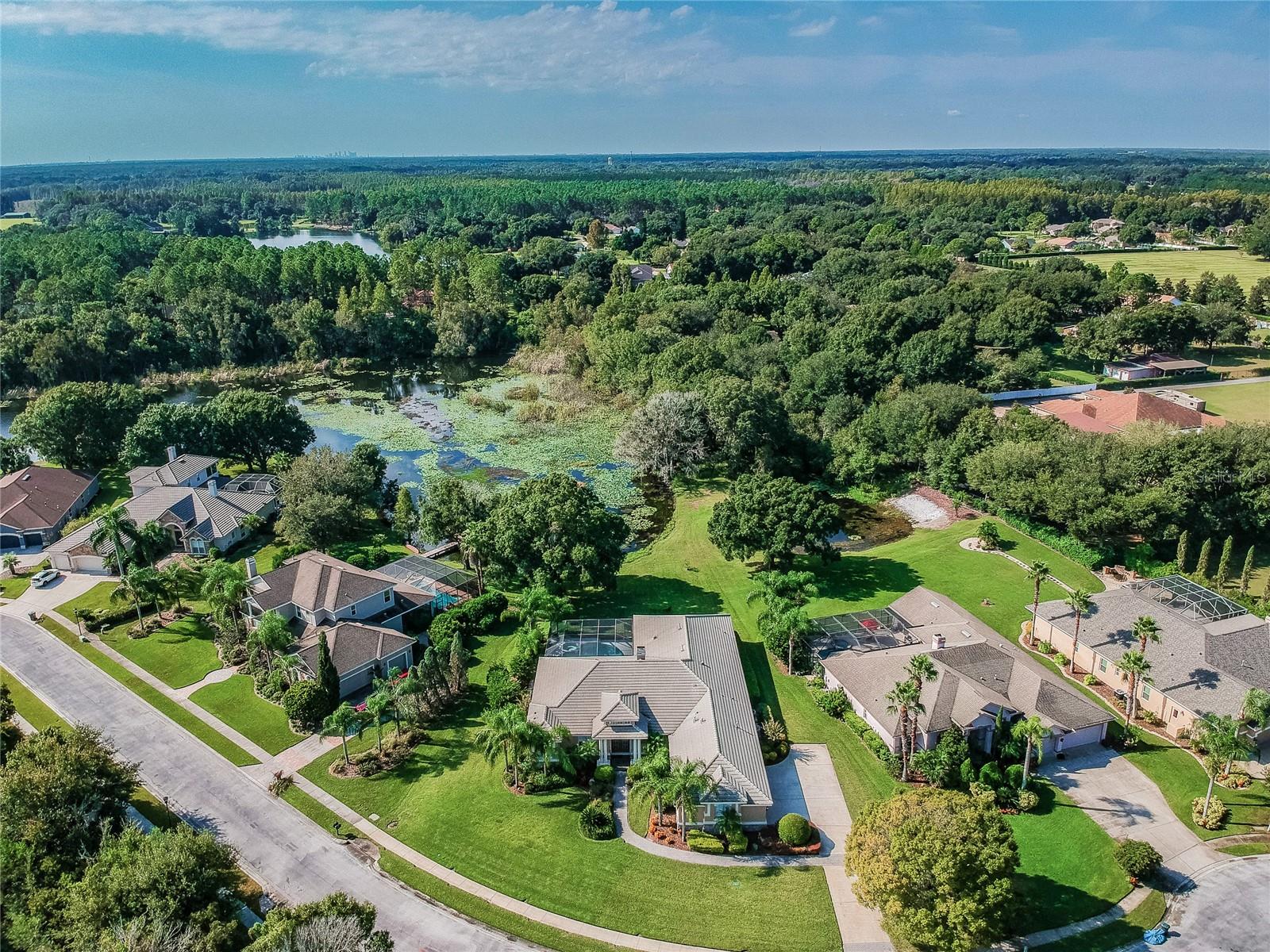 1107 OXBRIDGE DR, LUTZ, FL, 33549