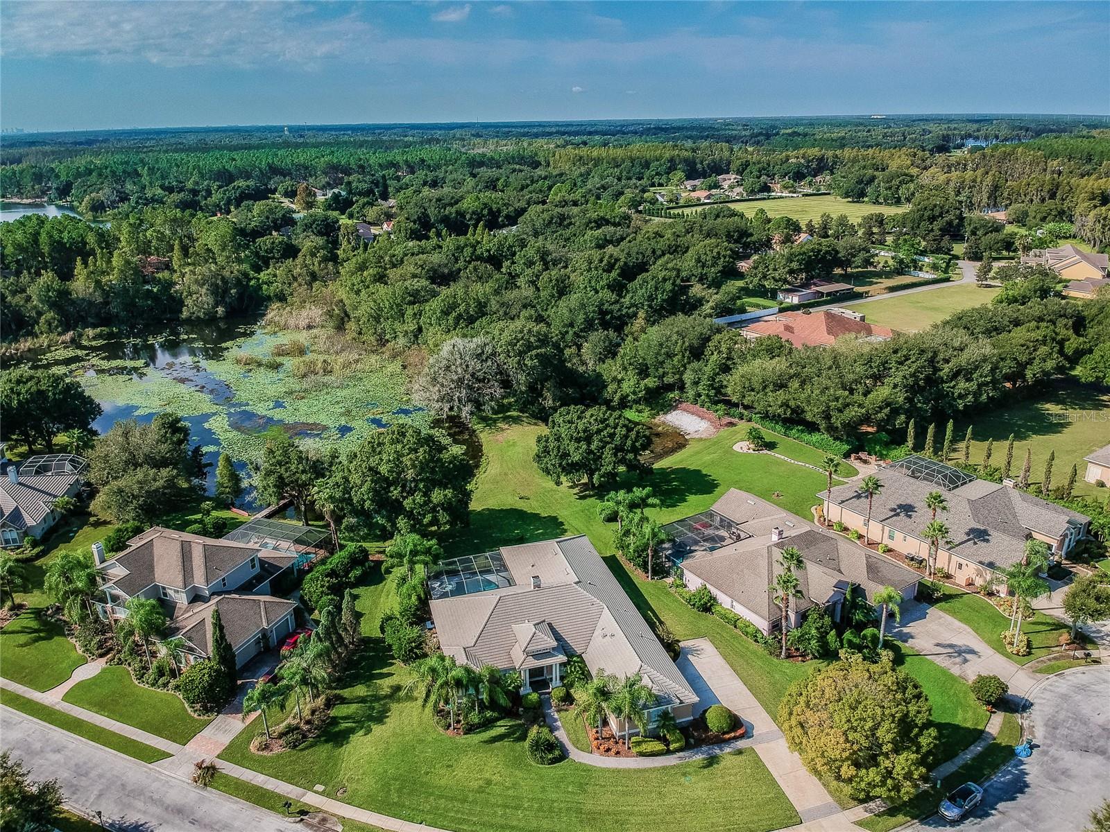 1107 OXBRIDGE DR, LUTZ, FL, 33549