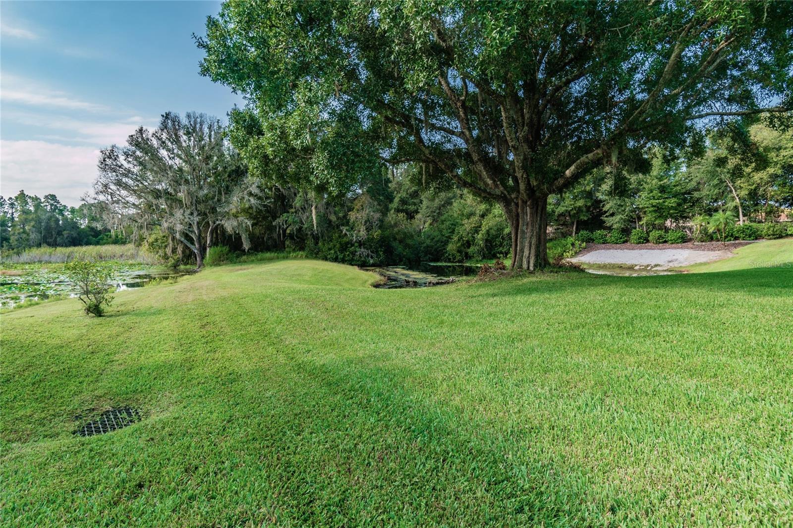 1107 OXBRIDGE DR, LUTZ, FL, 33549