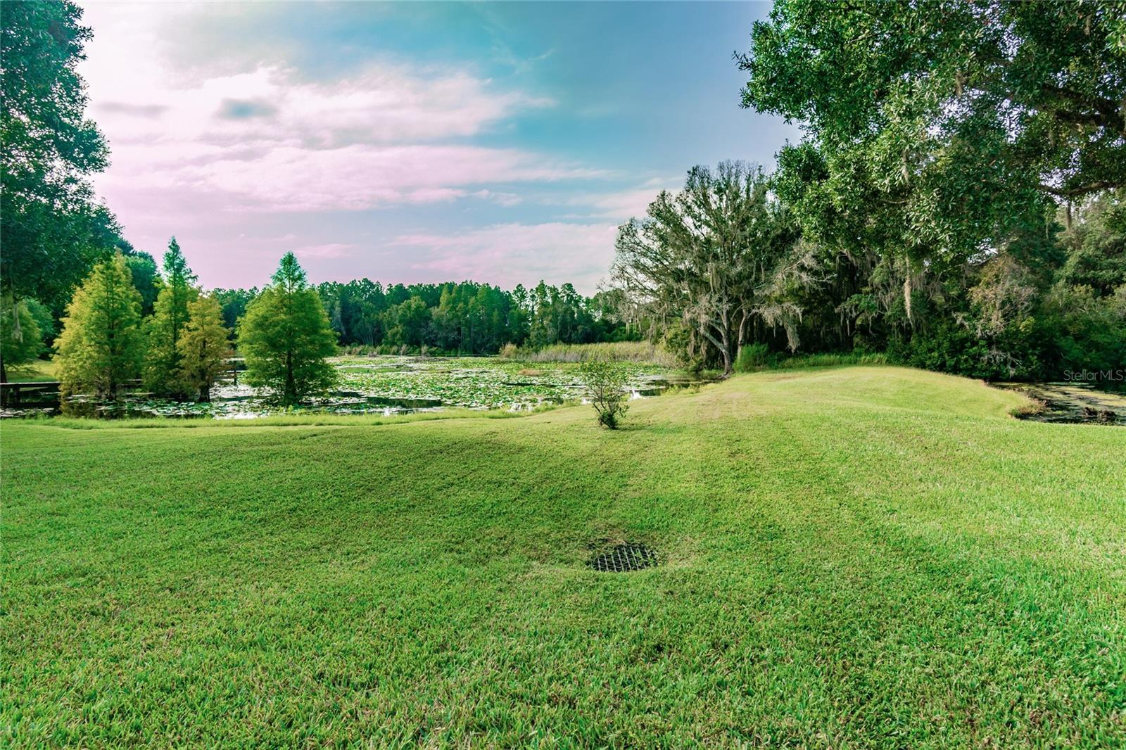 1107 OXBRIDGE DR, LUTZ, FL, 33549