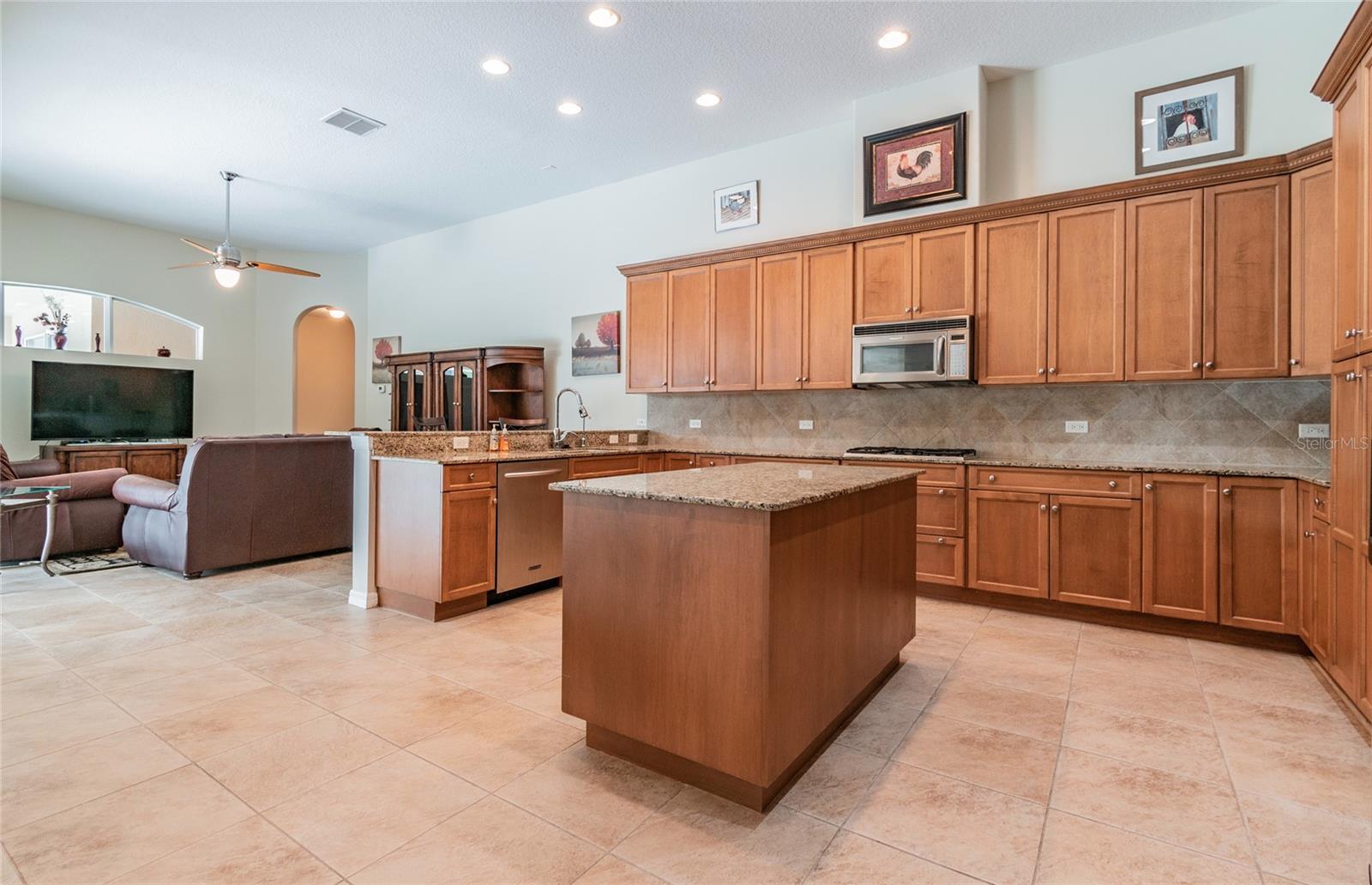 1107 OXBRIDGE DR, LUTZ, FL, 33549