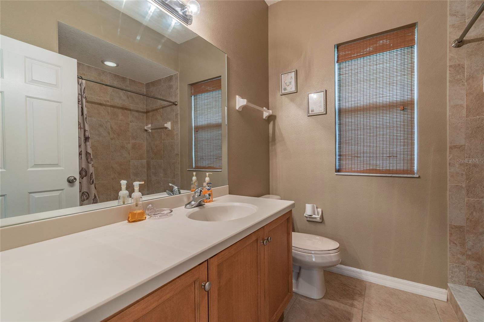 1107 OXBRIDGE DR, LUTZ, FL, 33549