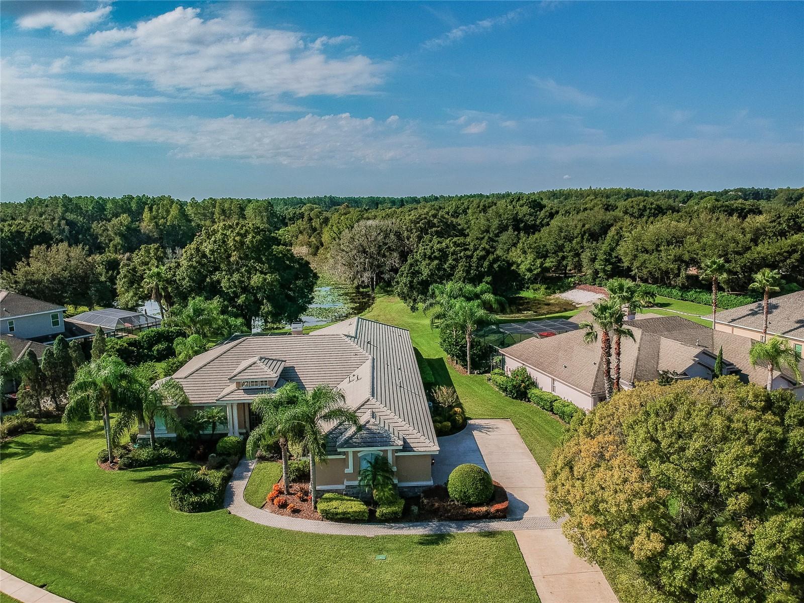 1107 OXBRIDGE DR, LUTZ, FL, 33549