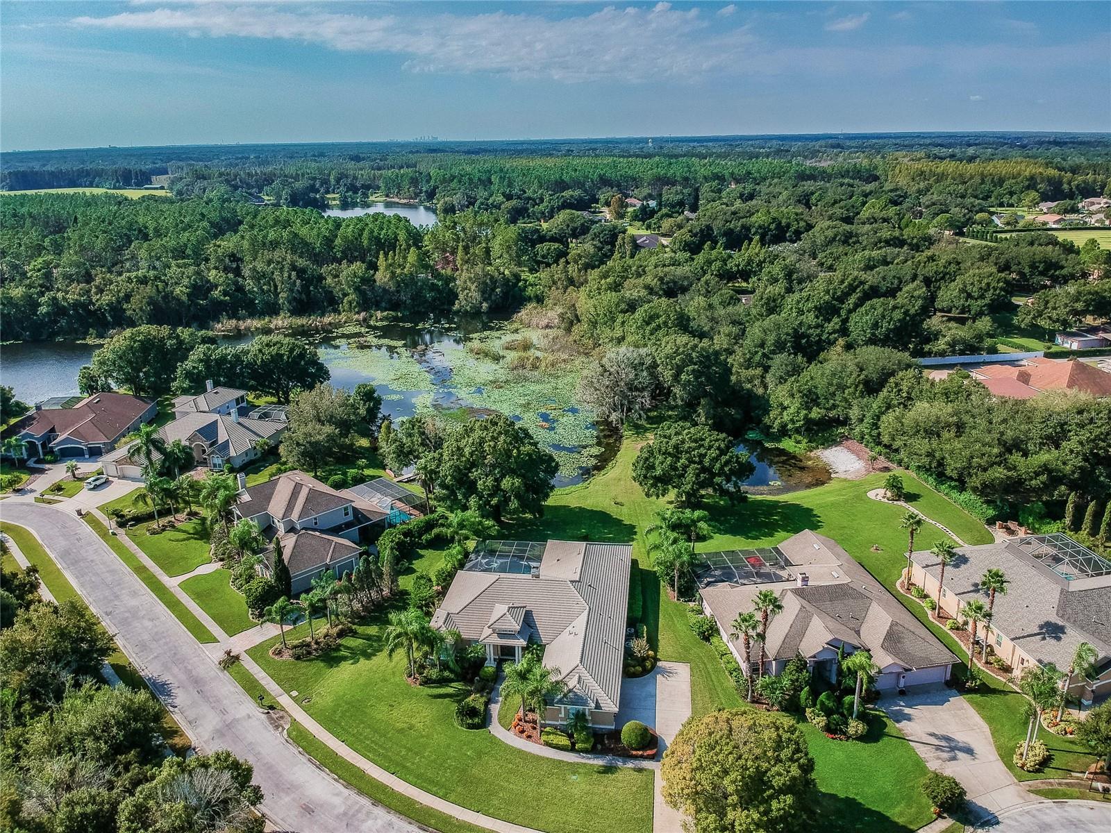 1107 OXBRIDGE DR, LUTZ, FL, 33549