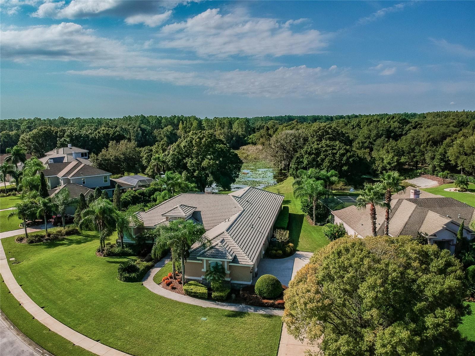 1107 OXBRIDGE DR, LUTZ, FL, 33549