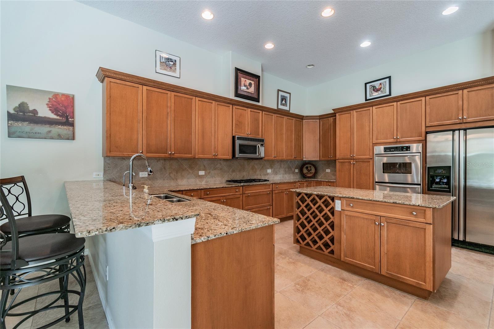 1107 OXBRIDGE DR, LUTZ, FL, 33549