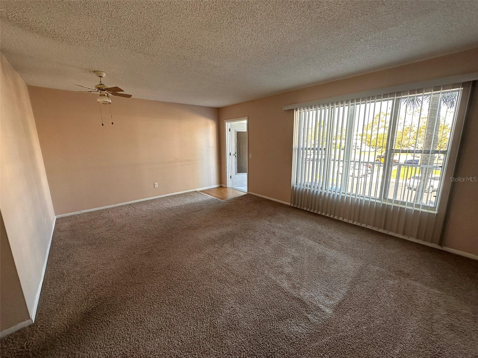 2449 COLUMBIA DR #29, CLEARWATER, FL, 33763