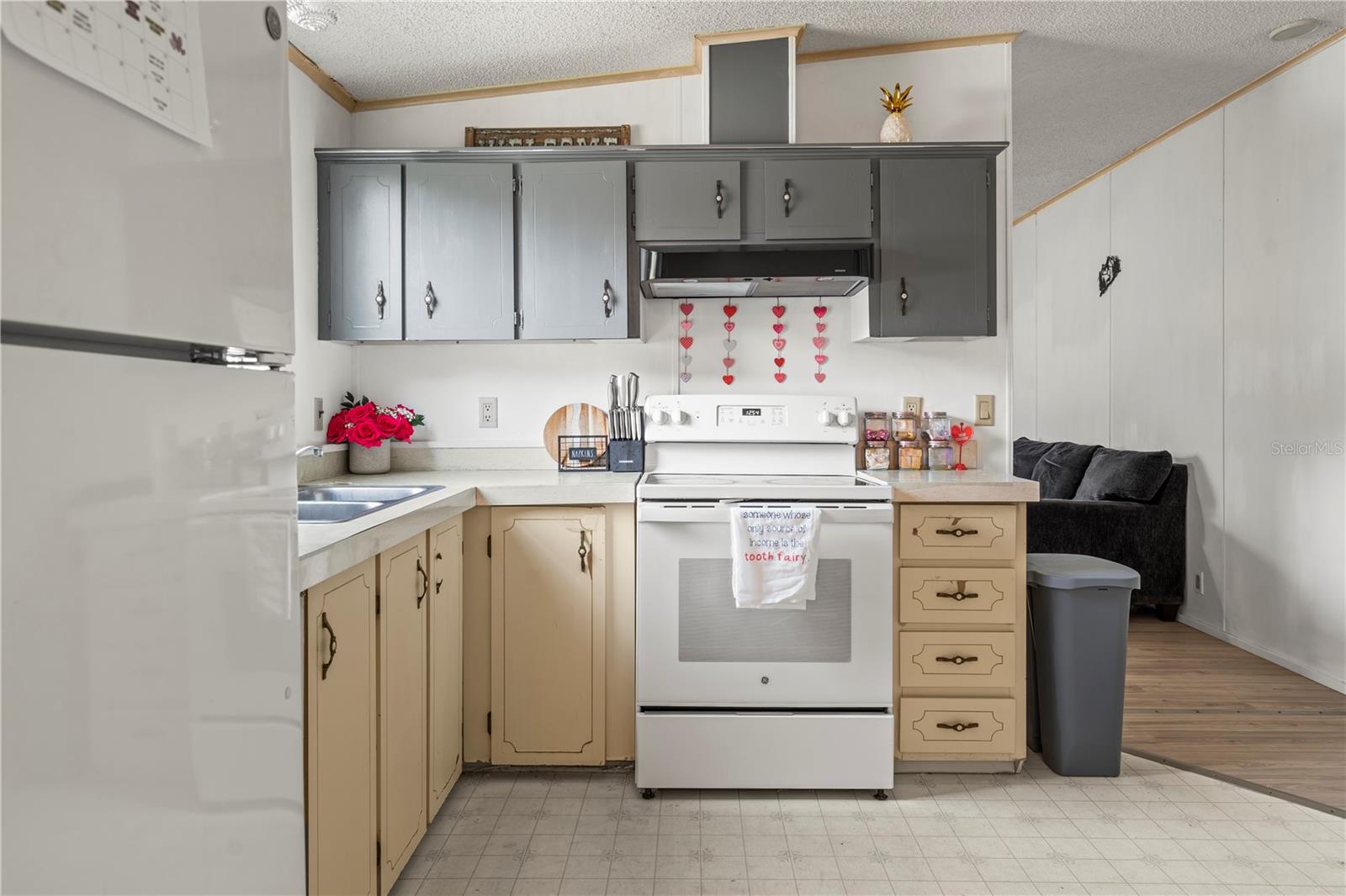3871 NW KNOLLWOOD DR, ARCADIA, FL, 34266