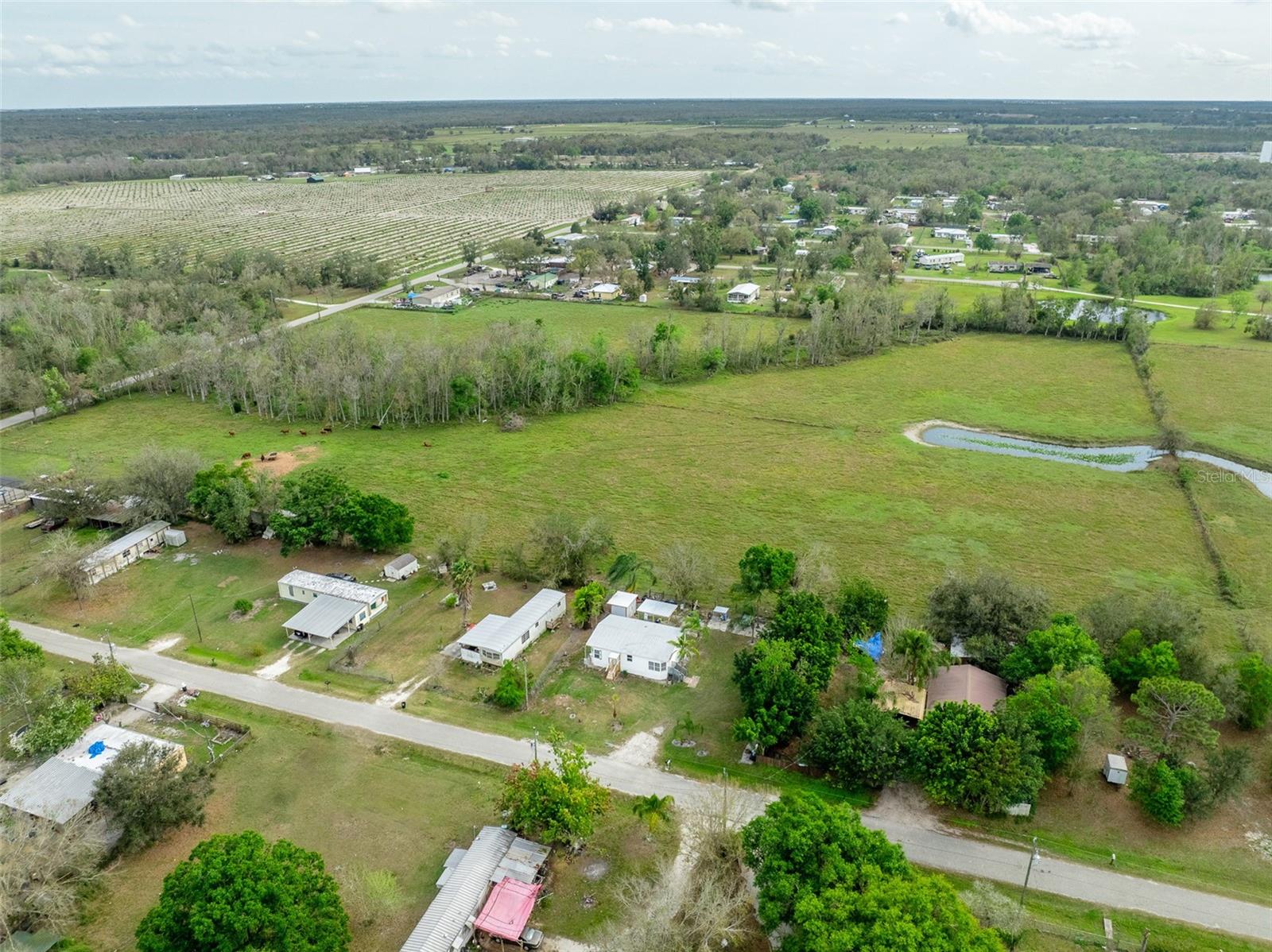 3871 NW KNOLLWOOD DR, ARCADIA, FL, 34266