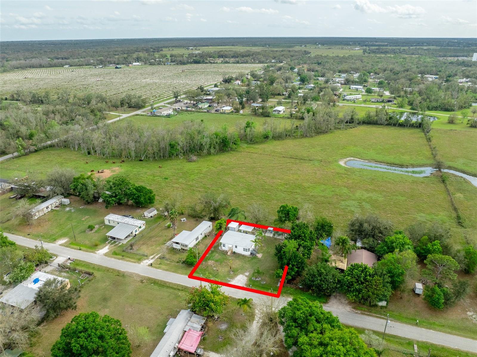 3871 NW KNOLLWOOD DR, ARCADIA, FL, 34266