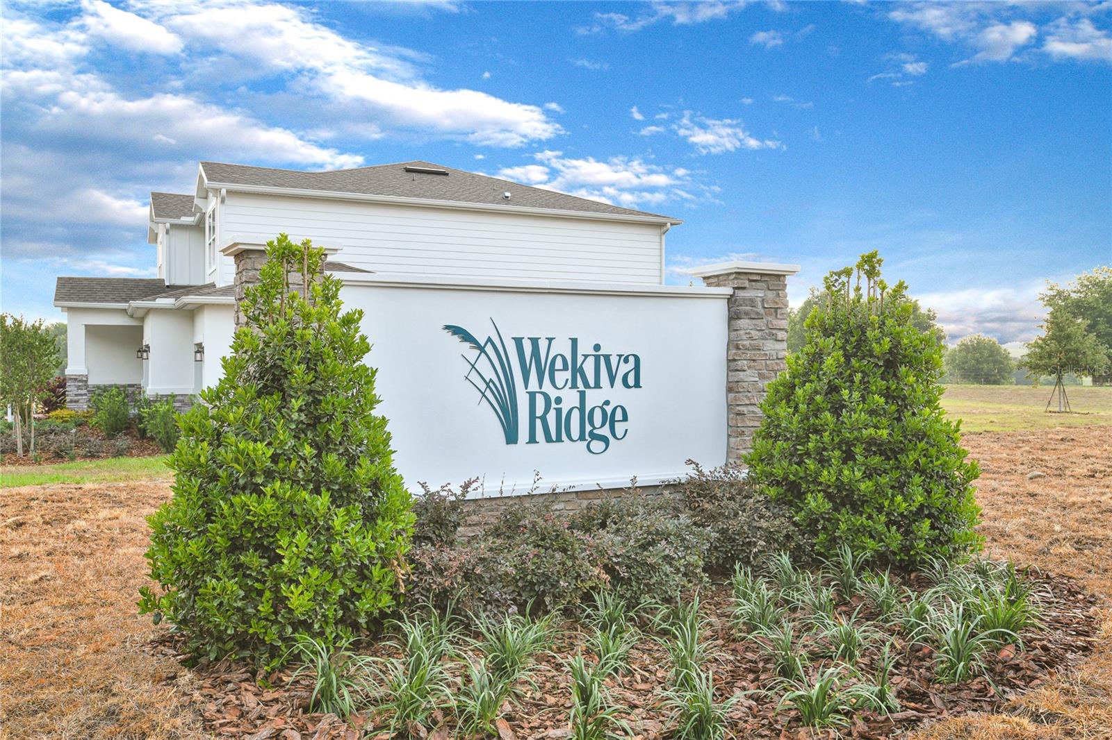 3741 DEER RIDGE DR, MOUNT DORA, FL, 32757