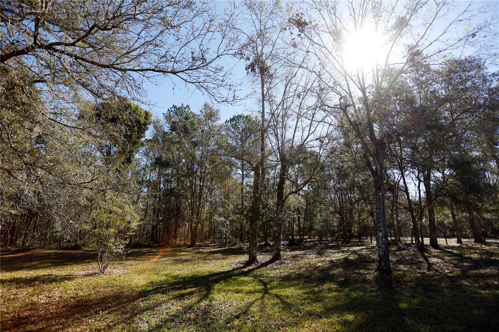 3431 RACKLEY RD, BROOKSVILLE, FL, 34604