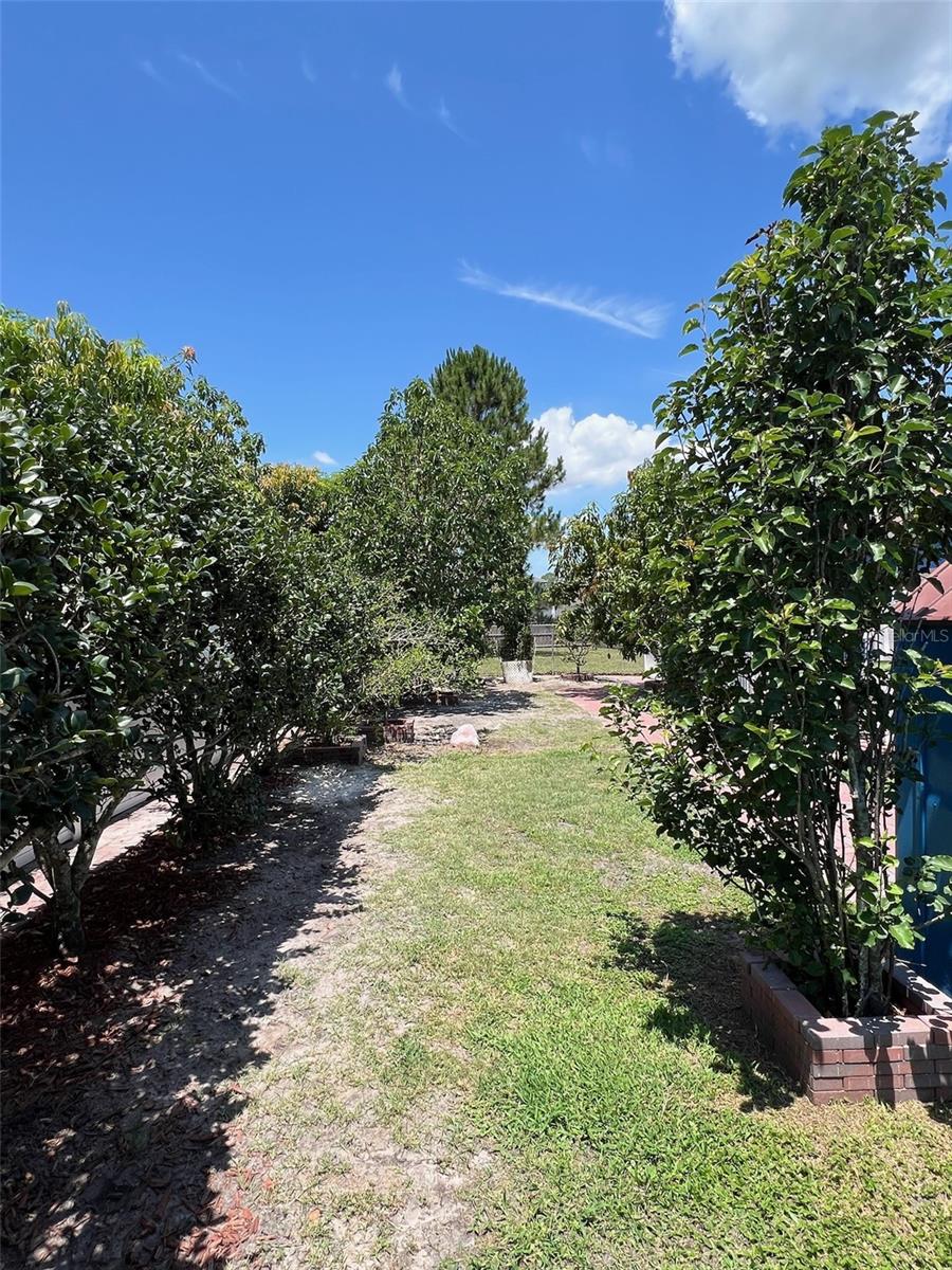 214 GREAT YARMOUTH CT, KISSIMMEE, FL, 34758