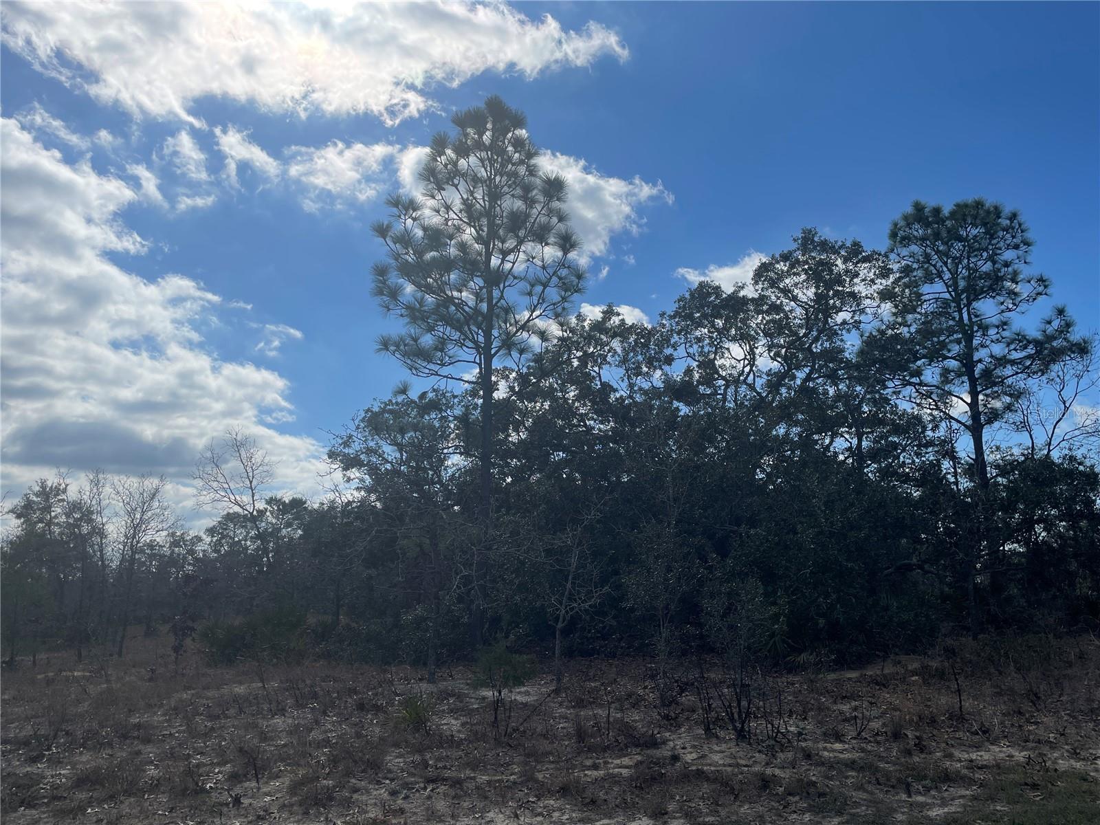 27 FREESIA CT, HOMOSASSA, FL, 34446
