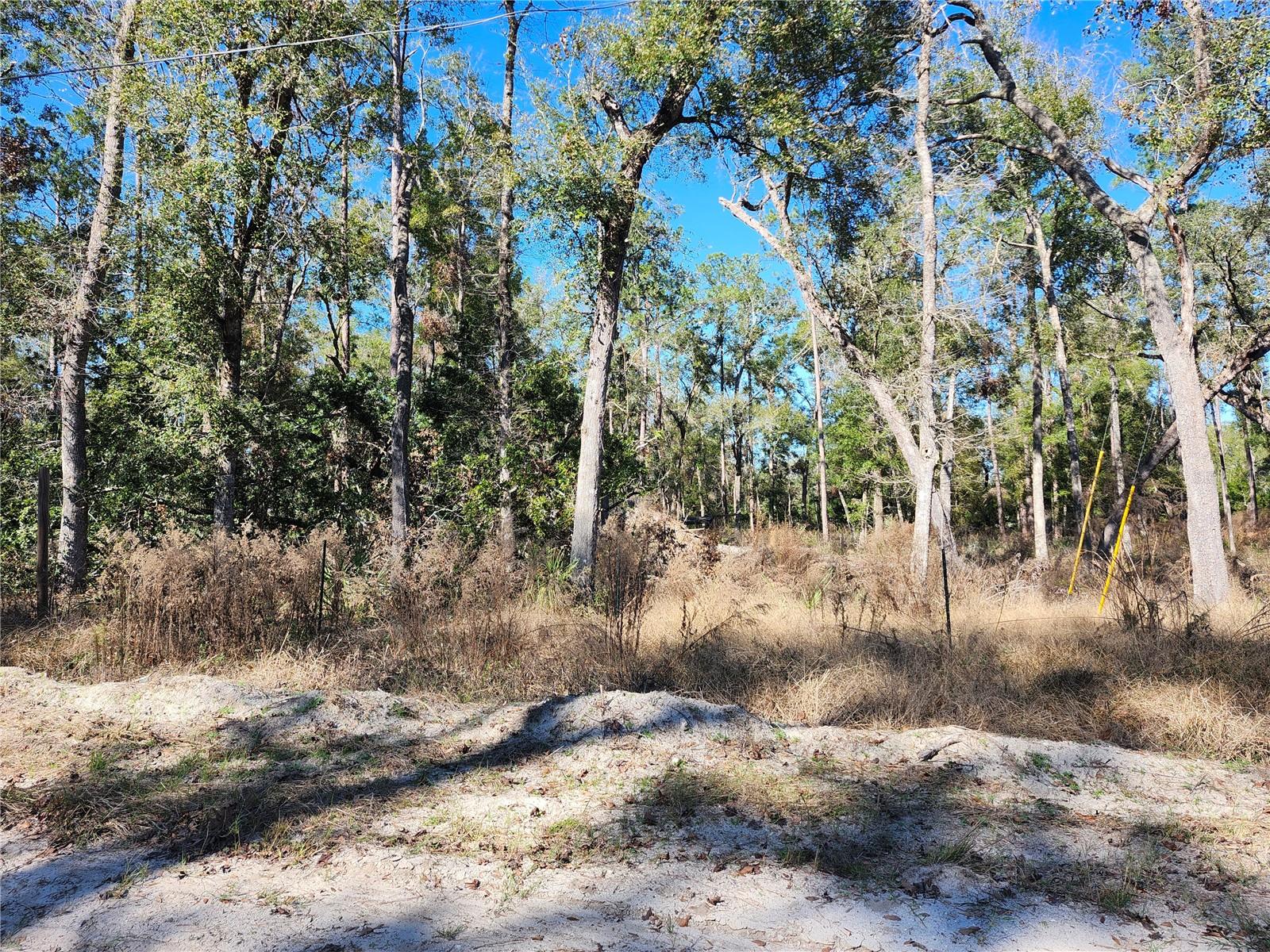SW 13TH ST, BELL, FL, 32619
