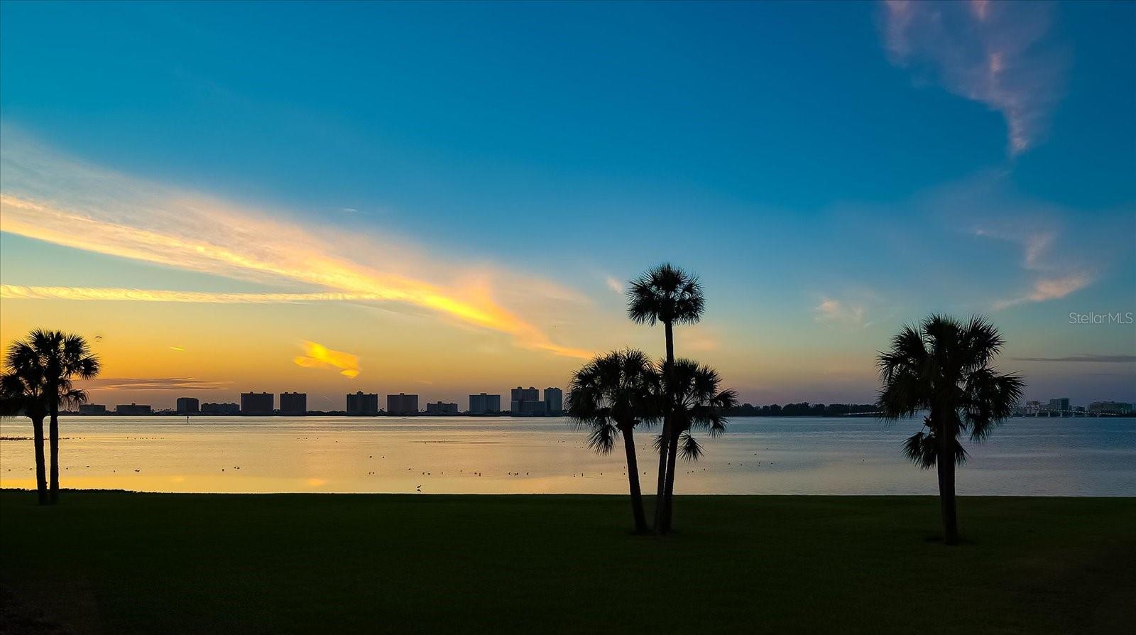 50 COE RD #111, BELLEAIR, FL, 33756