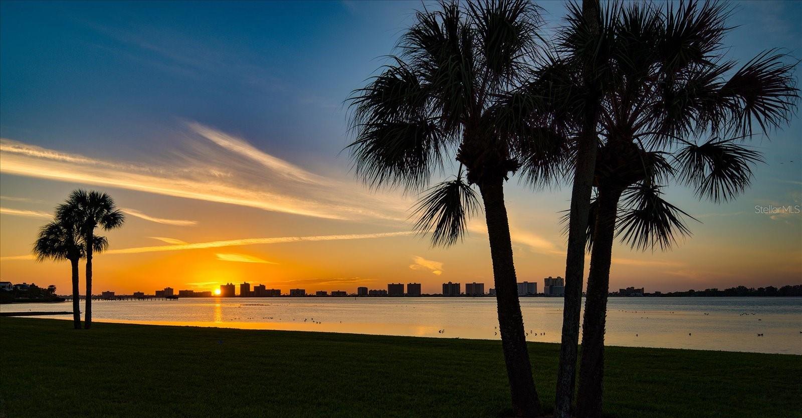 50 COE RD #111, BELLEAIR, FL, 33756