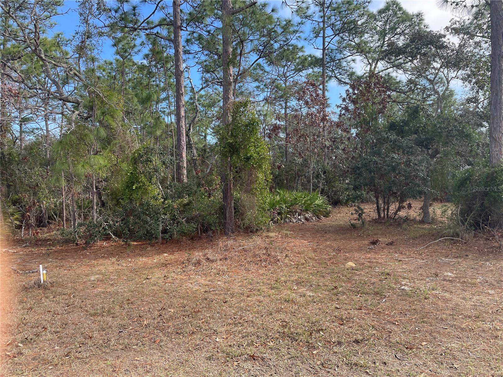 1811 S GLENEAGLE TER, LECANTO, FL, 34461