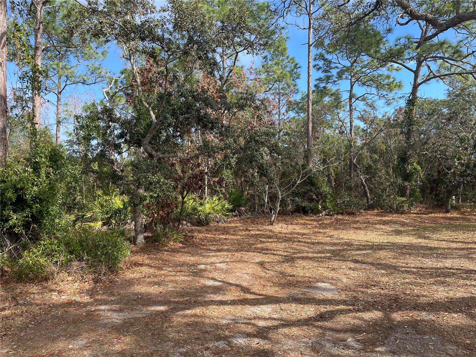 1811 S GLENEAGLE TER, LECANTO, FL, 34461