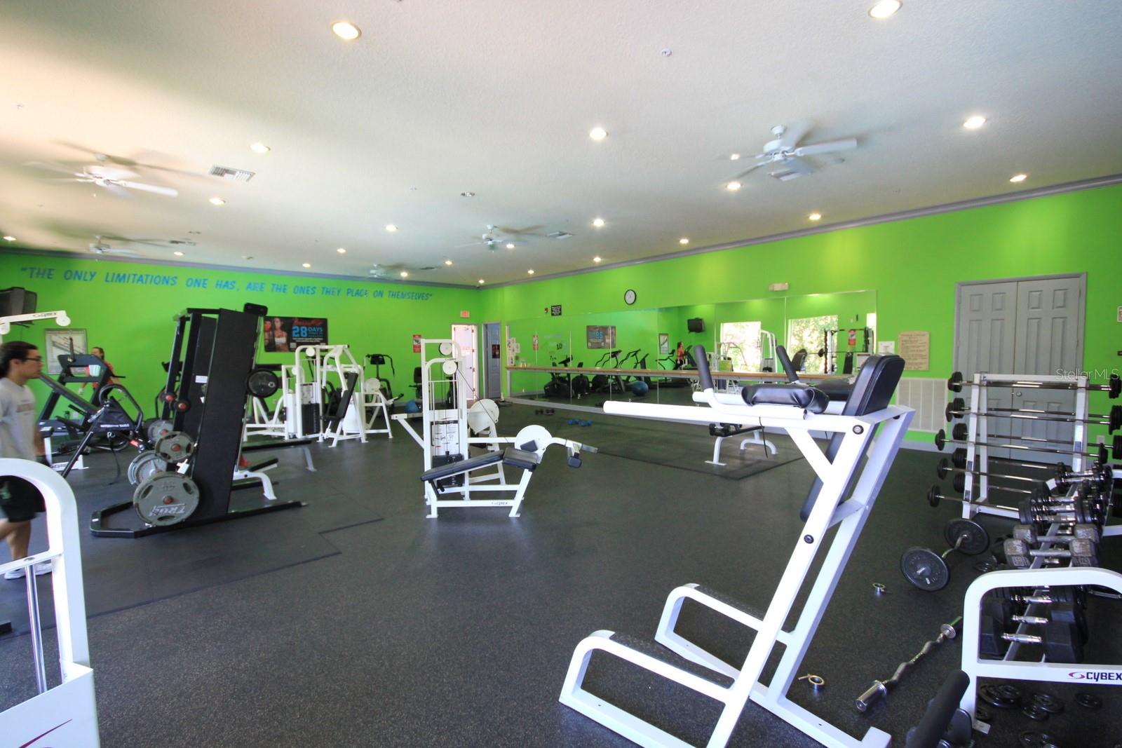 1910 E PALM AVE #11111, TAMPA, FL, 33605