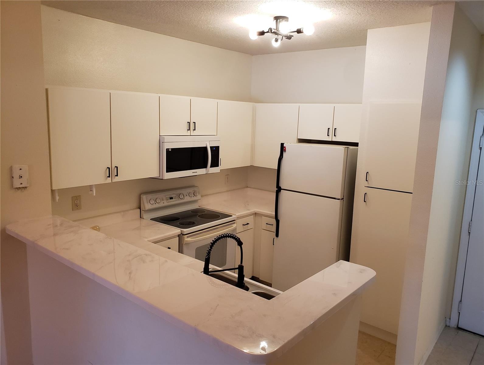 1910 E PALM AVE #11111, TAMPA, FL, 33605