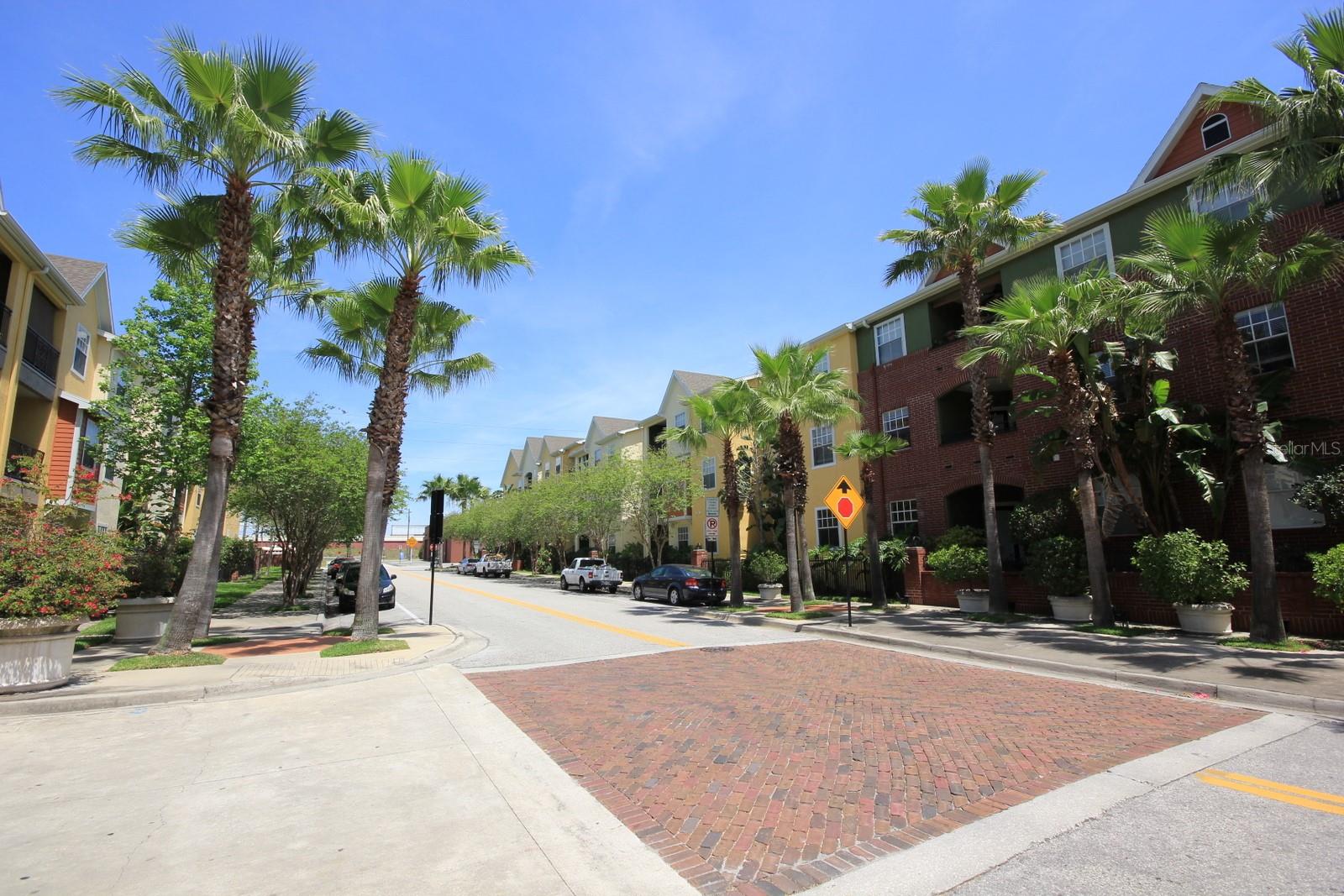 1910 E PALM AVE #11111, TAMPA, FL, 33605