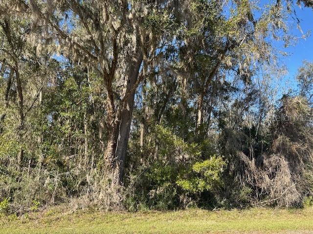 TBD NW 86 ST, CHIEFLAND, FL, 32626