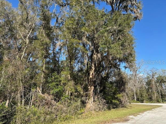 TBD NW 86 ST, CHIEFLAND, FL, 32626