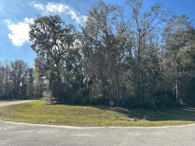 TBD NW 86 ST, CHIEFLAND, FL, 32626